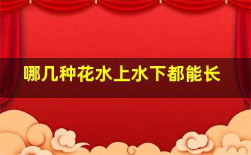 哪几种花水上水下都能长