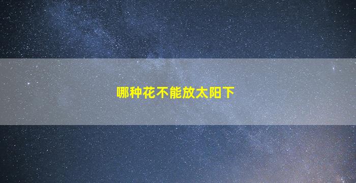 哪种花不能放太阳下