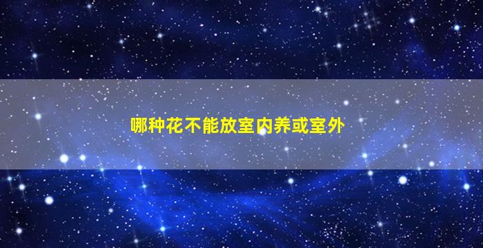 哪种花不能放室内养或室外