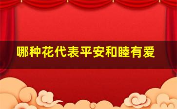 哪种花代表平安和睦有爱