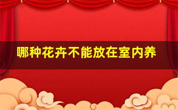 哪种花卉不能放在室内养