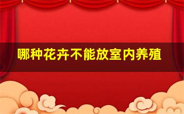 哪种花卉不能放室内养殖