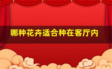 哪种花卉适合种在客厅内