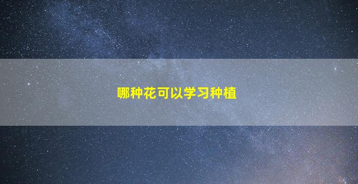 哪种花可以学习种植