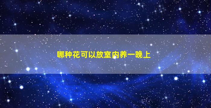 哪种花可以放室内养一晚上