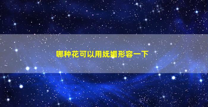 哪种花可以用妩媚形容一下