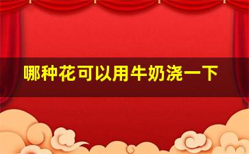 哪种花可以用牛奶浇一下