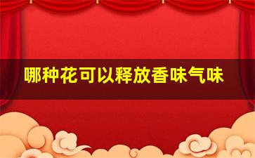 哪种花可以释放香味气味