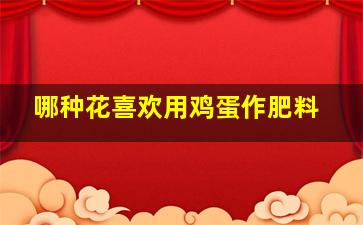 哪种花喜欢用鸡蛋作肥料