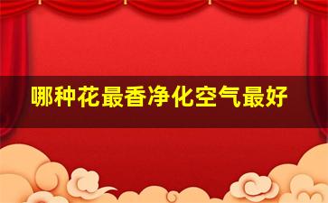 哪种花最香净化空气最好