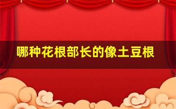 哪种花根部长的像土豆根