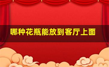 哪种花瓶能放到客厅上面