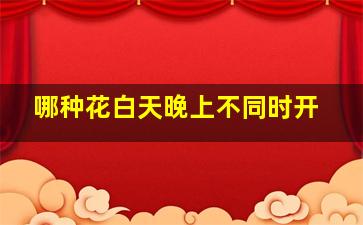 哪种花白天晚上不同时开