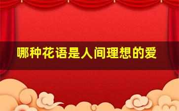 哪种花语是人间理想的爱