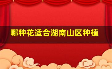 哪种花适合湖南山区种植