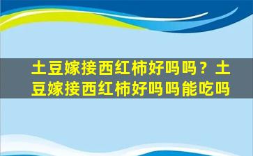 土豆嫁接西红柿好吗吗？土豆嫁接西红柿好吗吗能吃吗