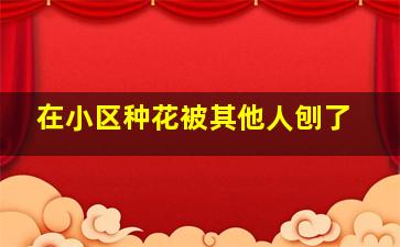 在小区种花被其他人刨了