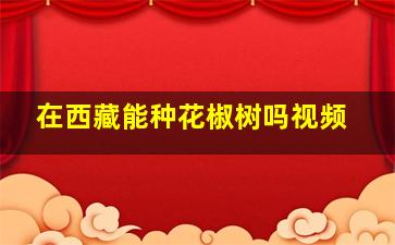 在西藏能种花椒树吗视频