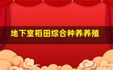 地下室稻田综合种养养殖