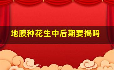 地膜种花生中后期要揭吗