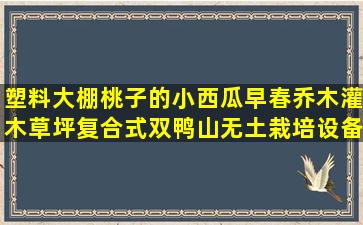 塑料大棚桃子的小西瓜早春乔木灌木草坪复合式双鸭山无土栽培设备