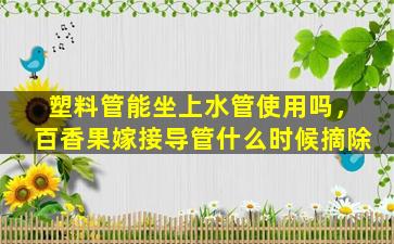 塑料管能坐上水管使用吗，百香果嫁接导管什么时候摘除