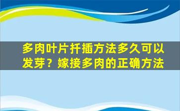 多肉叶片扦插方法多久可以发芽？嫁接多肉的正确方法