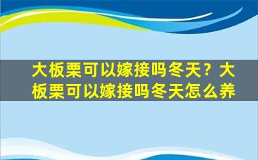 大板栗可以嫁接吗冬天？大板栗可以嫁接吗冬天怎么养