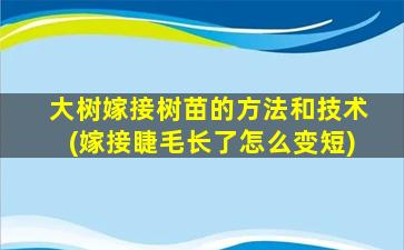 大树嫁接树苗的方法和技术(嫁接睫毛长了怎么变短)