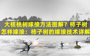 大核桃树嫁接方法图解？柿子树怎样嫁接：柿子树的嫁接技术详解