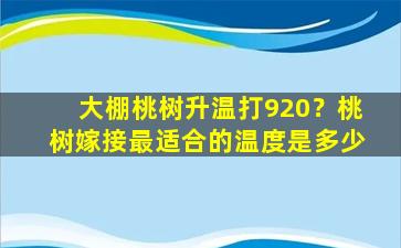 大棚桃树升温打920？桃树嫁接最适合的温度是多少