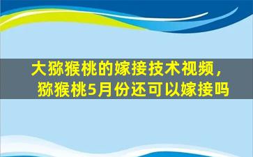 大猕猴桃的嫁接技术视频，猕猴桃5月份还可以嫁接吗