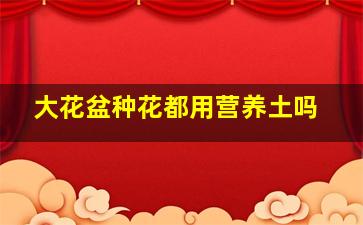 大花盆种花都用营养土吗