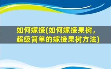 如何嫁接(如何嫁接果树，超级简单的嫁接果树方法)