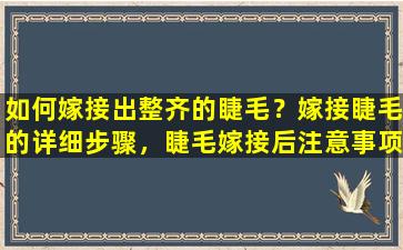 如何嫁接出整齐的睫毛？嫁接睫毛的详细步骤，睫毛嫁接后注意事项有哪些