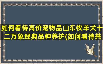 如何看待高价宠物品山东牧羊犬十二万象经典品种养护(如何看待共享宠物)