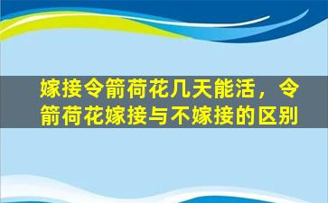 嫁接令箭荷花几天能活，令箭荷花嫁接与不嫁接的区别