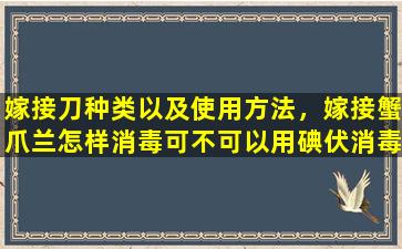 嫁接刀种类以及使用方法，嫁接蟹爪兰怎样消毒可不可以用碘伏消毒液