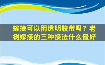 嫁接可以用透明胶带吗？老树嫁接的三种接法什么最好