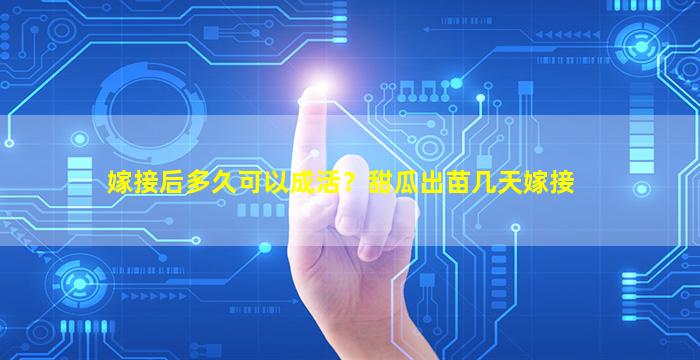 嫁接后多久可以成活？甜瓜出苗几天嫁接