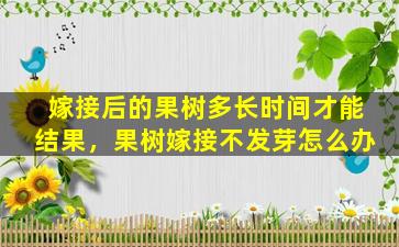 嫁接后的果树多长时间才能结果，果树嫁接不发芽怎么办