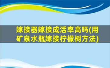 嫁接器嫁接成活率高吗(用矿泉水瓶嫁接柠檬树方法)