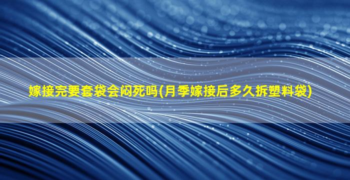 嫁接完要套袋会闷死吗(月季嫁接后多久拆塑料袋)