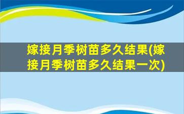 嫁接月季树苗多久结果(嫁接月季树苗多久结果一次)