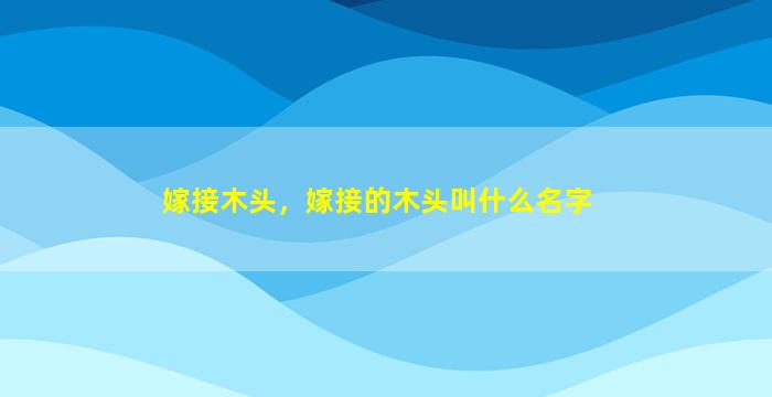 嫁接木头，嫁接的木头叫什么名字