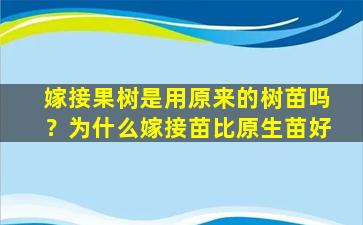 嫁接果树是用原来的树苗吗？为什么嫁接苗比原生苗好