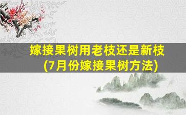 嫁接果树用老枝还是新枝(7月份嫁接果树方法)