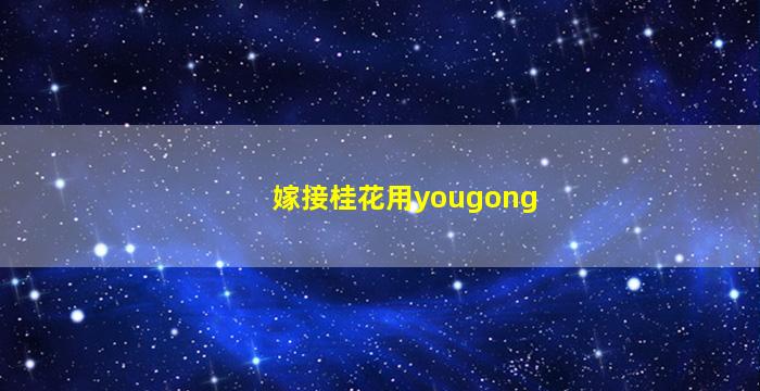 嫁接桂花用yougong