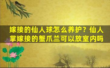 嫁接的仙人球怎么养护？仙人掌嫁接的蟹爪兰可以放室内吗