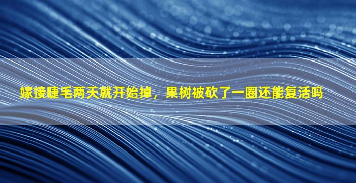 嫁接睫毛两天就开始掉，果树被砍了一圈还能复活吗